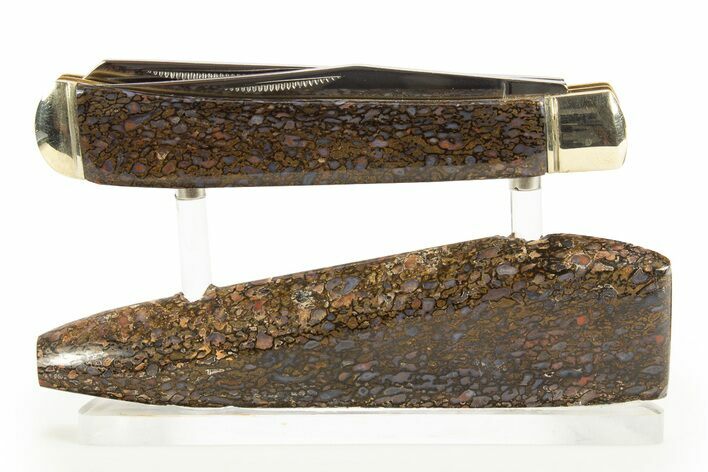 Pocket Knife With Fossil Dinosaur Bone Inlays & Base #327592